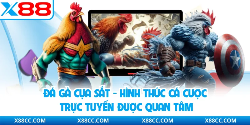 Đá Gà Cựa Sắt - Hình Thức Cá Cược Trực Tuyến Được Quan Tâm 1 Đá Gà Cựa Sắt - Hình Thức Cá Cược Trực Tuyến Được Quan Tâm